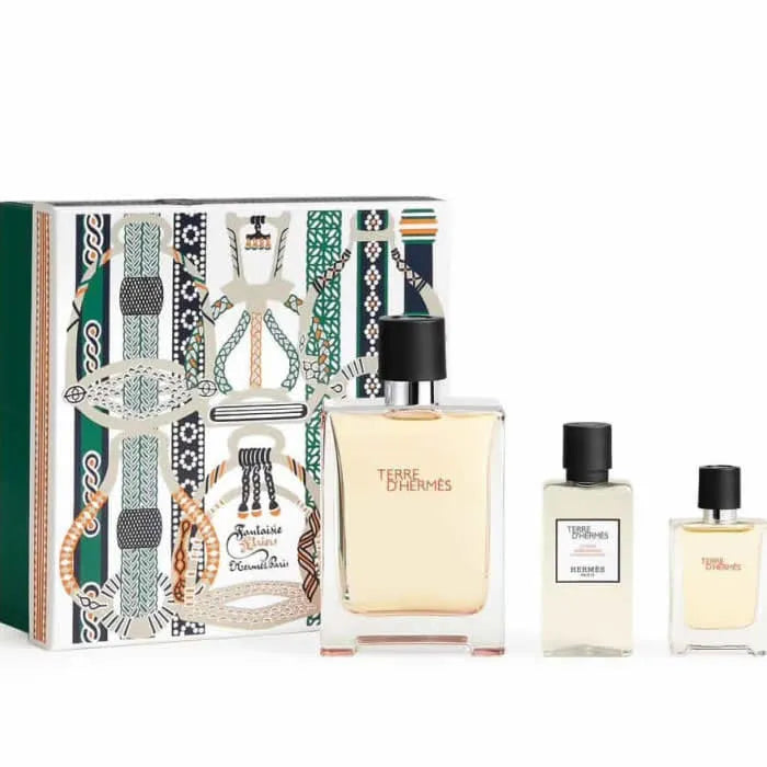 Hermès Terre D'Hermes eau de toilette spray 100 ml Set 3 Pieces