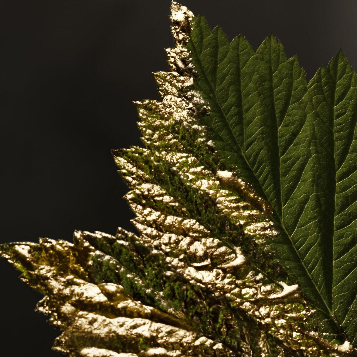 Herrenparfüm BOSS BOSS BOTTLED EDP 50 ml-5