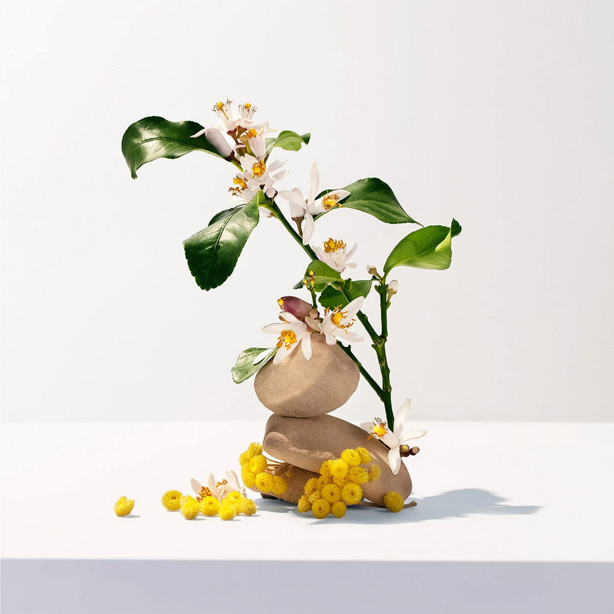 Duschgel Roger & Gallet Néroli (200 ml)-1