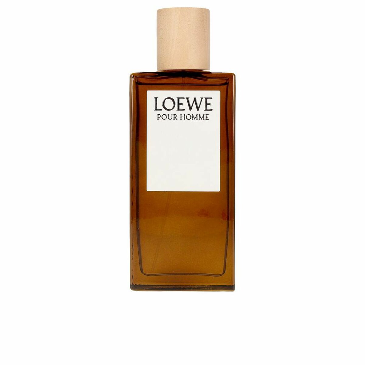 Men's Perfume Loewe LOEWE POUR HOMME EDT 100 ml-0