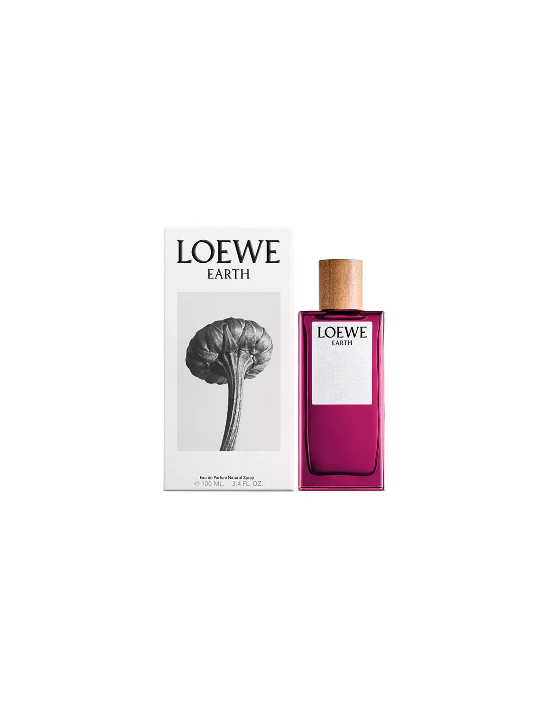 Loewe Earth eau de parfum 100 ml spray