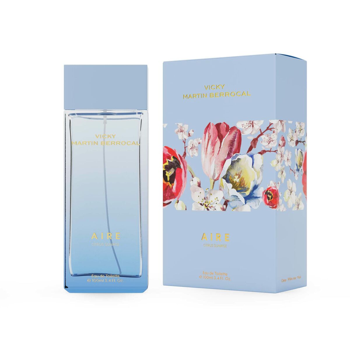 Profumo da donna Vicky Martín Berrocal Aire EDT 100 ml-0