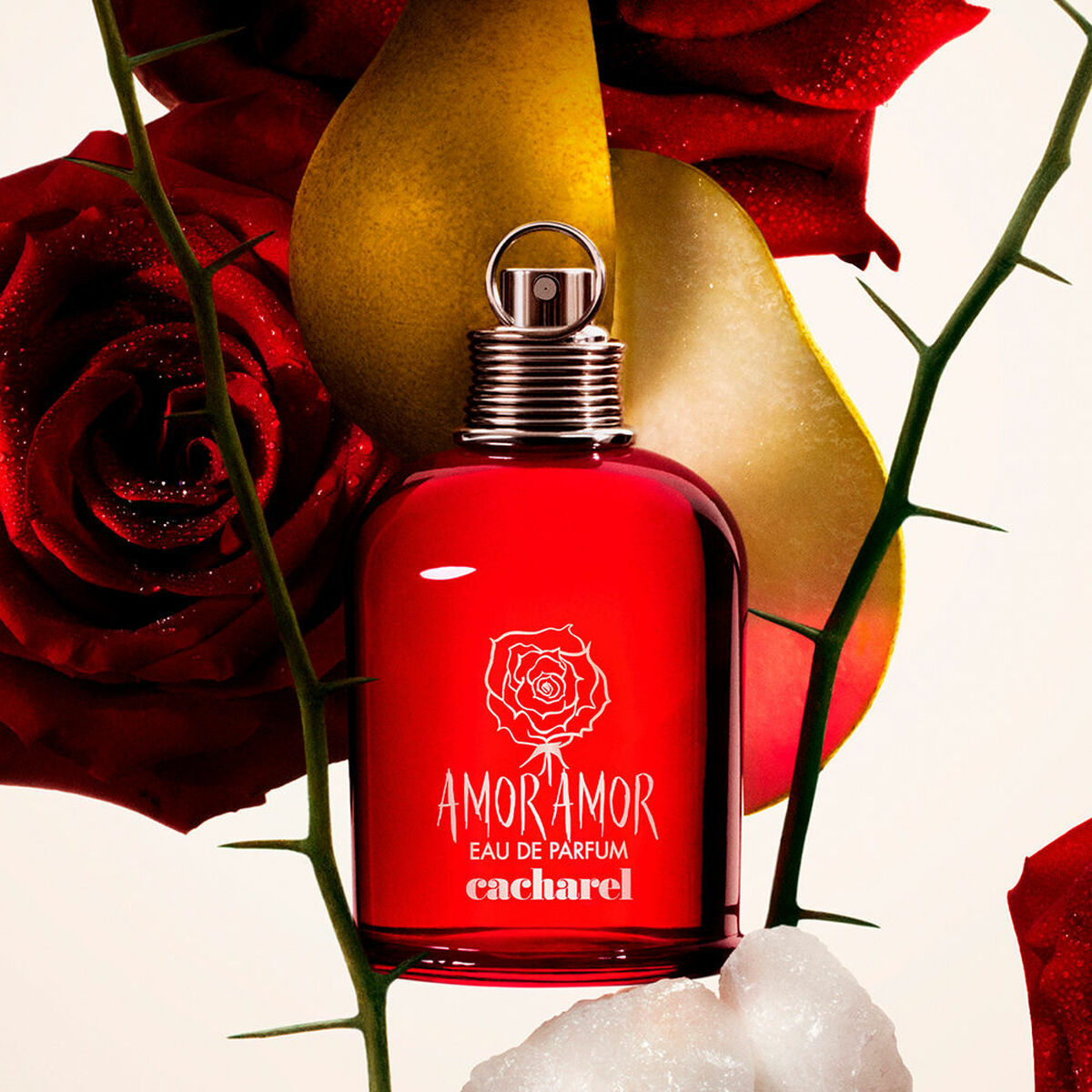 Women's Perfume Cacharel Amor Amor EDP 50 ml-1