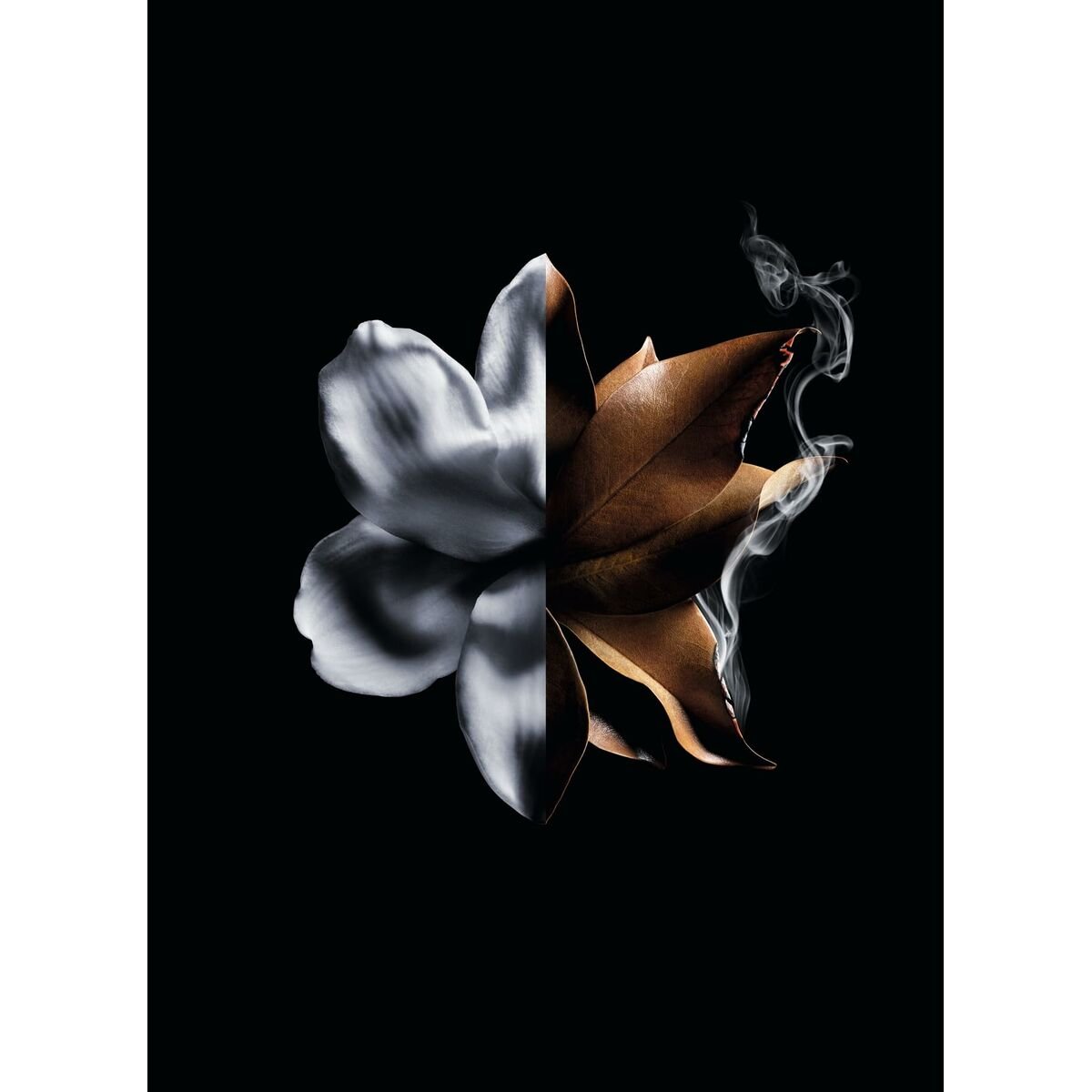 Parfum de dama Givenchy L'Interdit Absolu L'Interdit Absolu 50 ml-4
