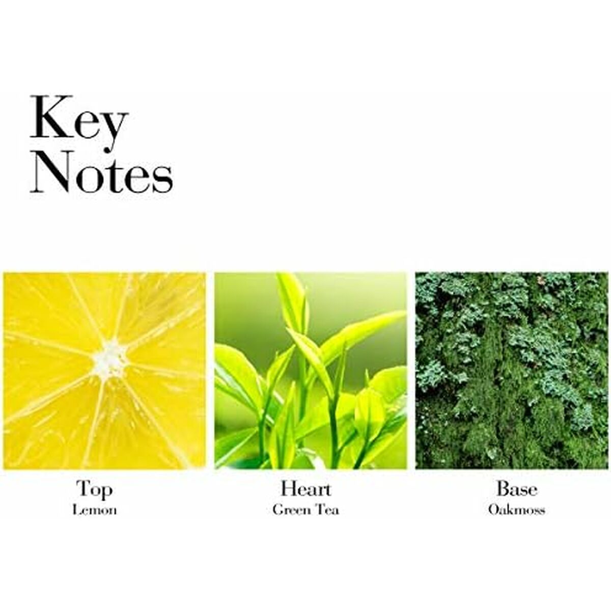 Feuchtigkeitsspendende Körpercreme Elizabeth Arden GREB40034-2