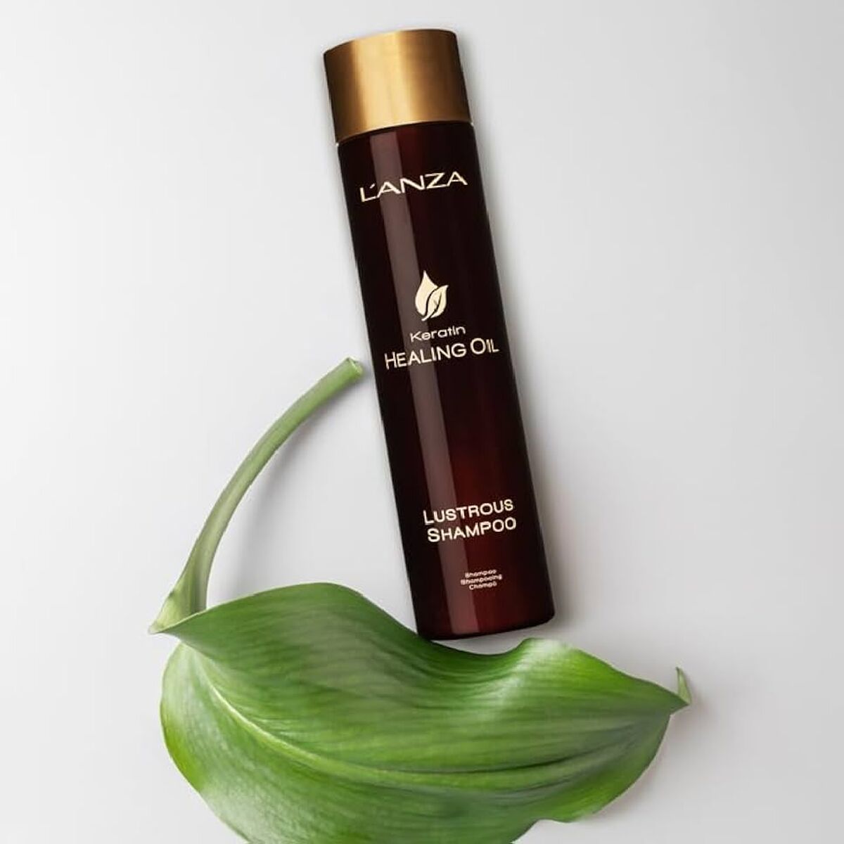 Shampoing L'ANZA 300 ml-0