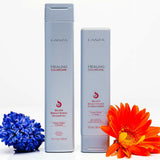 Shampoo L'ANZA Minu 1 L-5