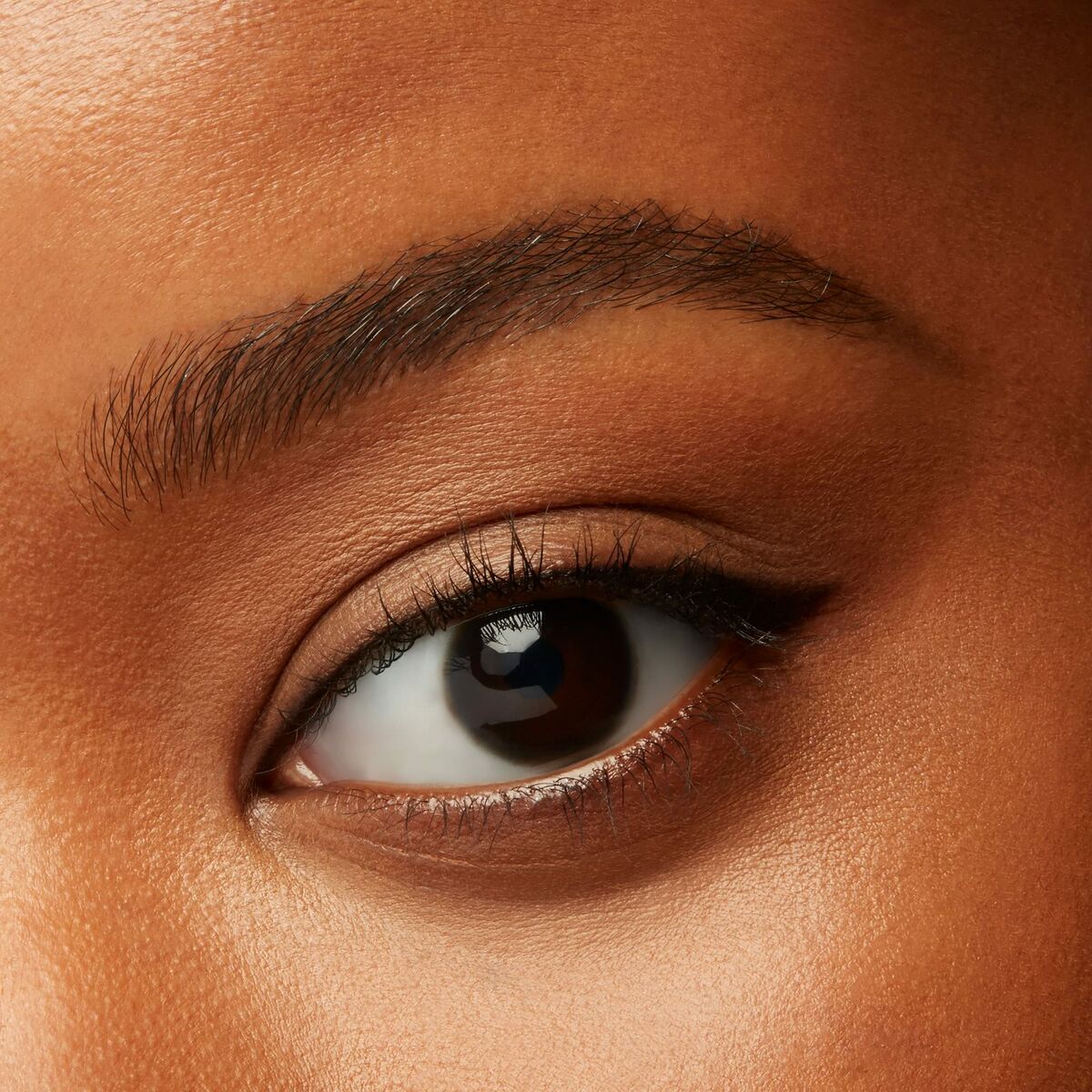 Eye Pencil Shiseido MicroLiner Ink Nº 1 Black-1