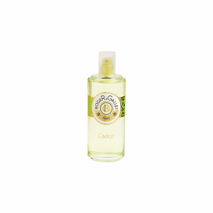 Unisex Perfume Roger & Gallet 160282 EDP EDC 100 ml