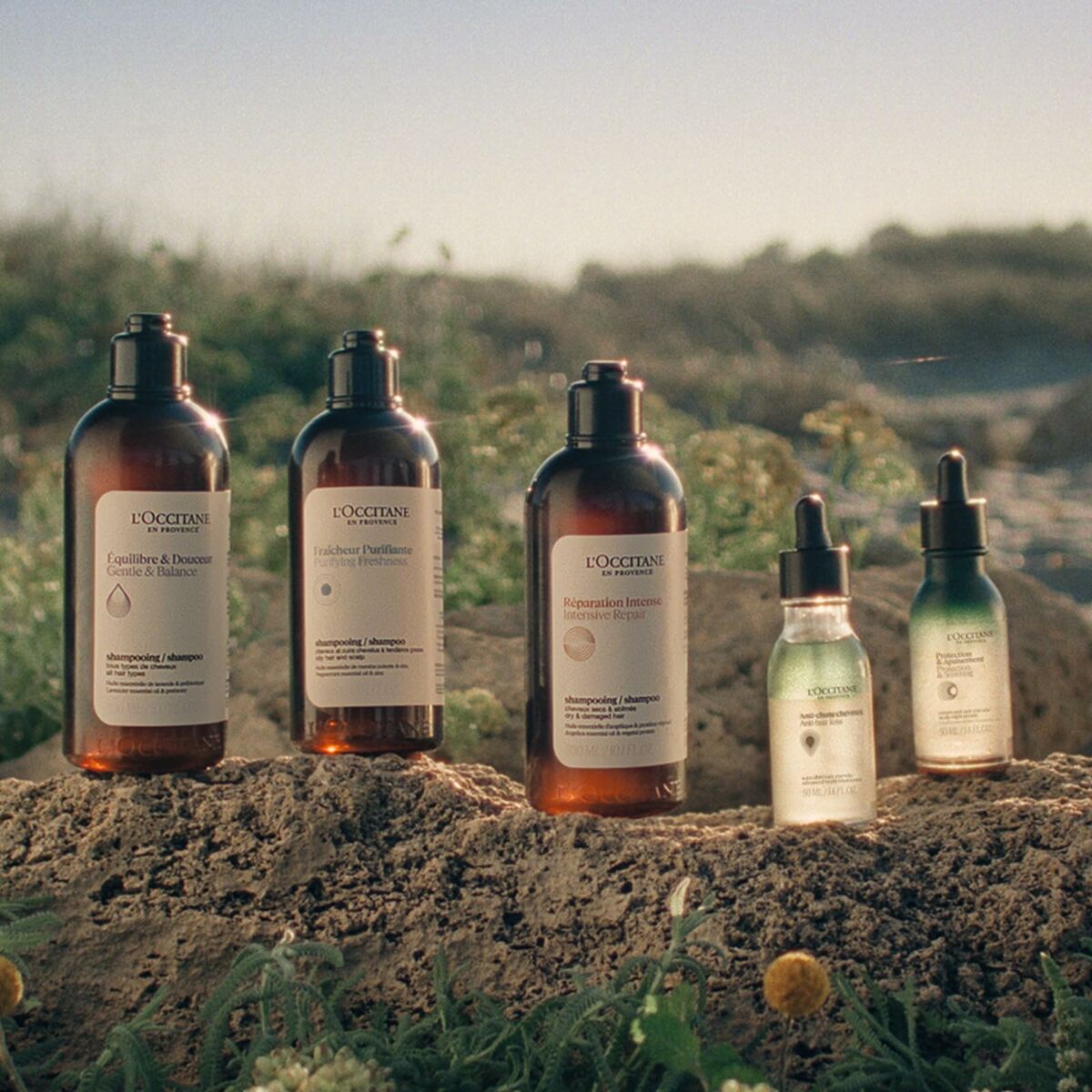Shampoo L'Occitane En Provence AROMACOLOGIA 75 ml-2