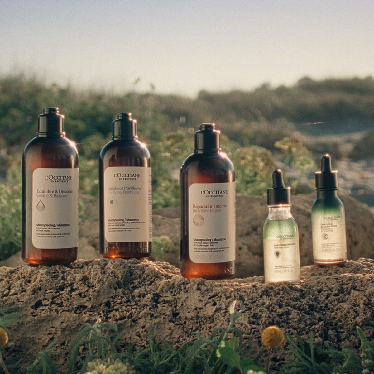 Shampoo L'Occitane En Provence AROMACOLOGIA 75 ml-1