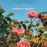 Crème Hydratante Pieds L'Occitane En Provence ROSE L'OCCITANE 30 ml-3