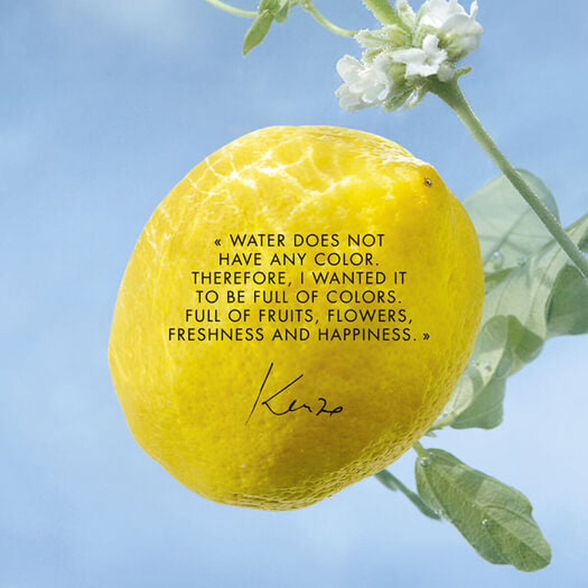 Profumo unisex Kenzo L'EAU PURE-2