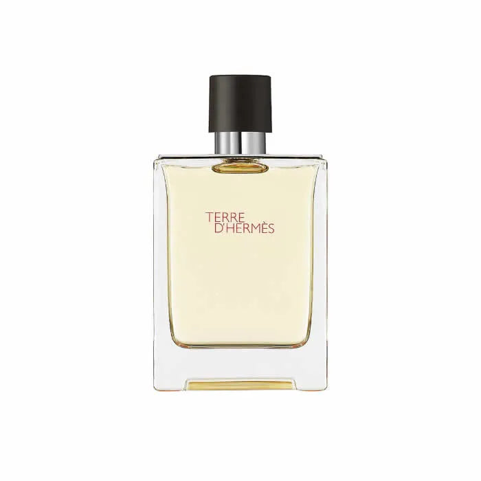Hermès Terre D'Hermes eau de toilette spray 100 ml