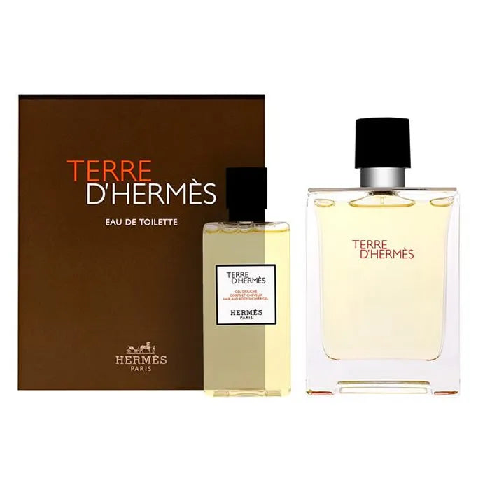Hermès Terre D´Hermes eau de toilette spray 100 ml cofanetto 2 pz