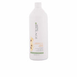 Glättendes Shampoo Biolage Smoothproof Matrix-1