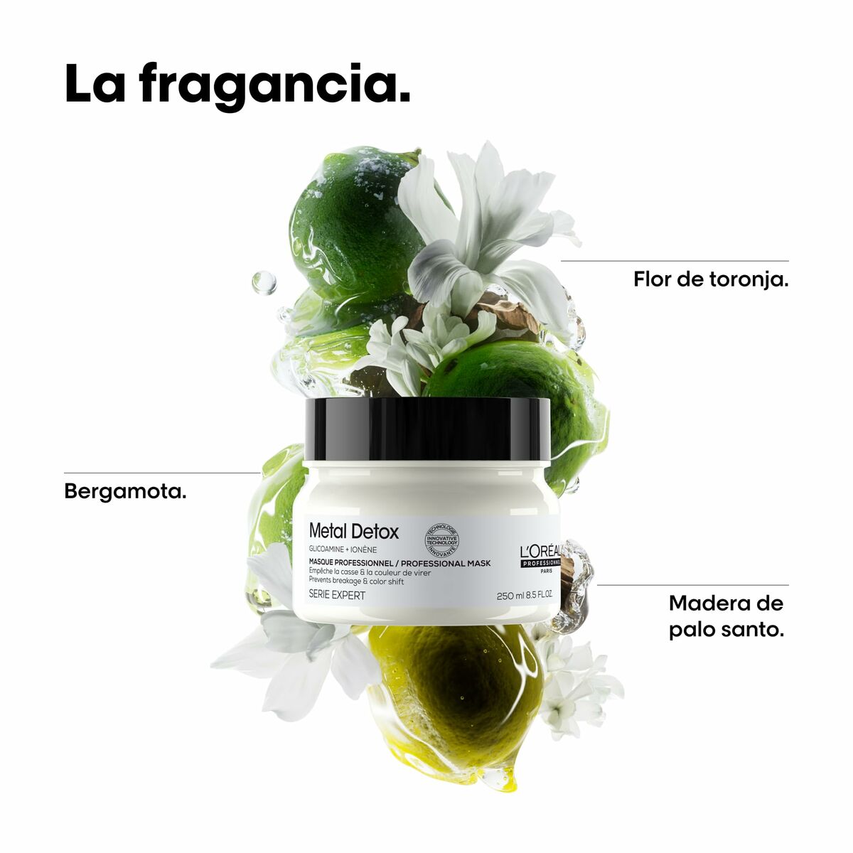Repairing Mask L'Oreal Professionnel Paris METAL DETOX 150 ml-2