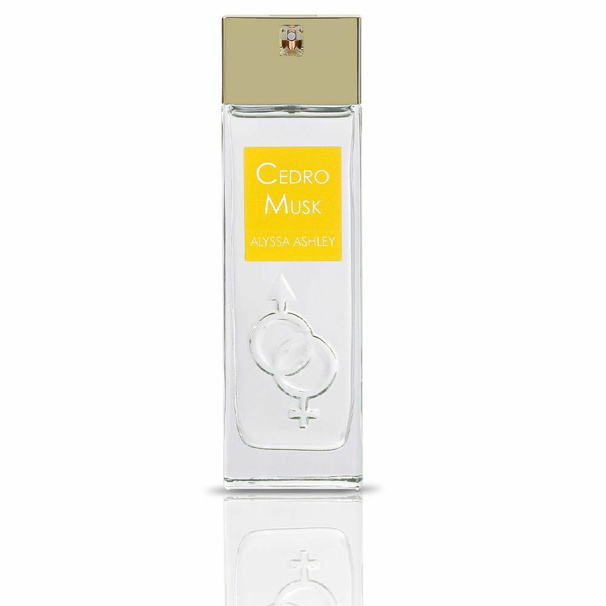 Unisex Perfume Alyssa Ashley Cedro Musk EDP EDP 100 ml-0