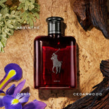 Profumo da uomo Ralph Lauren Polo Red EDP 75 ml-3