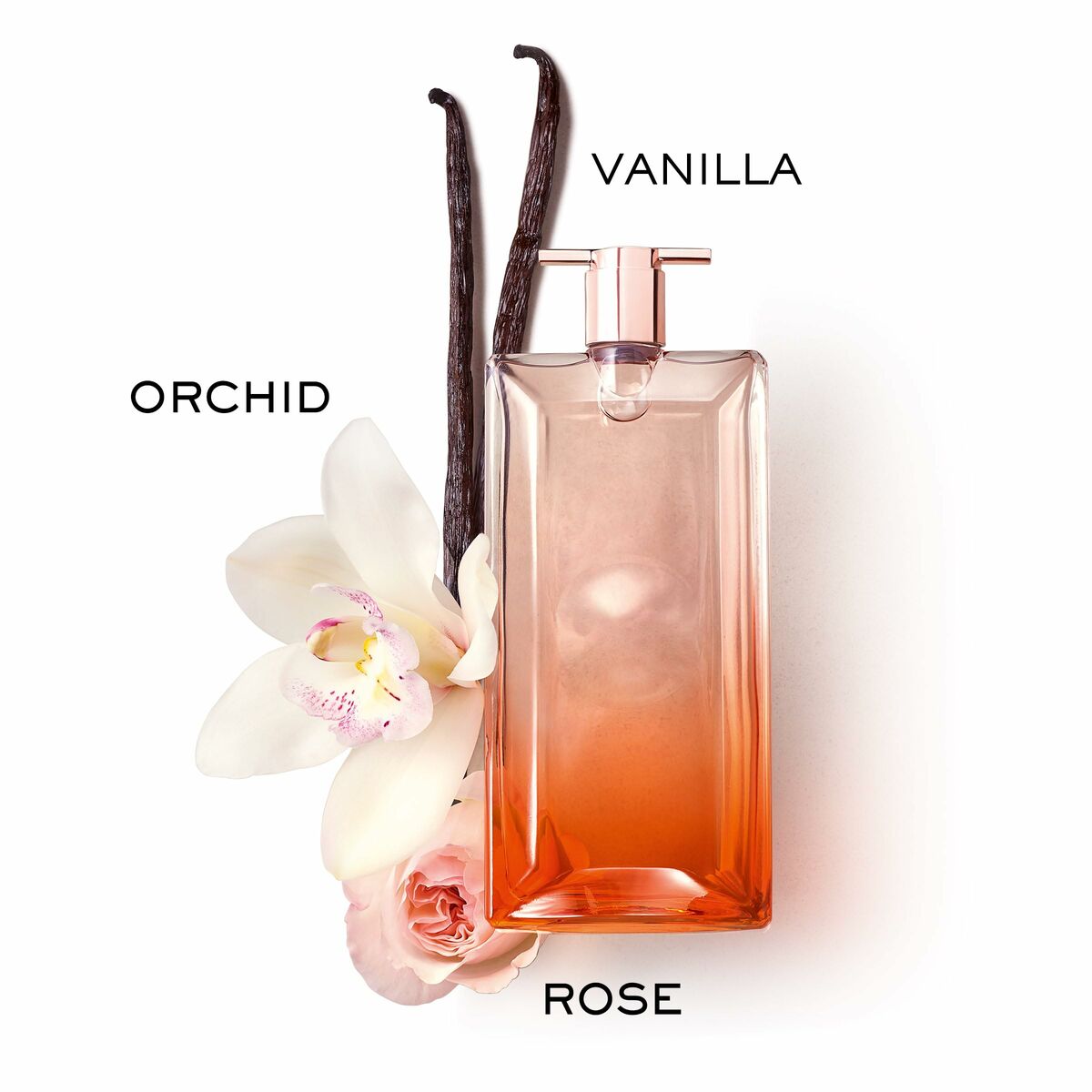 Profumo da donna Lancôme Idôle Now EDP EDP 100 ml-1