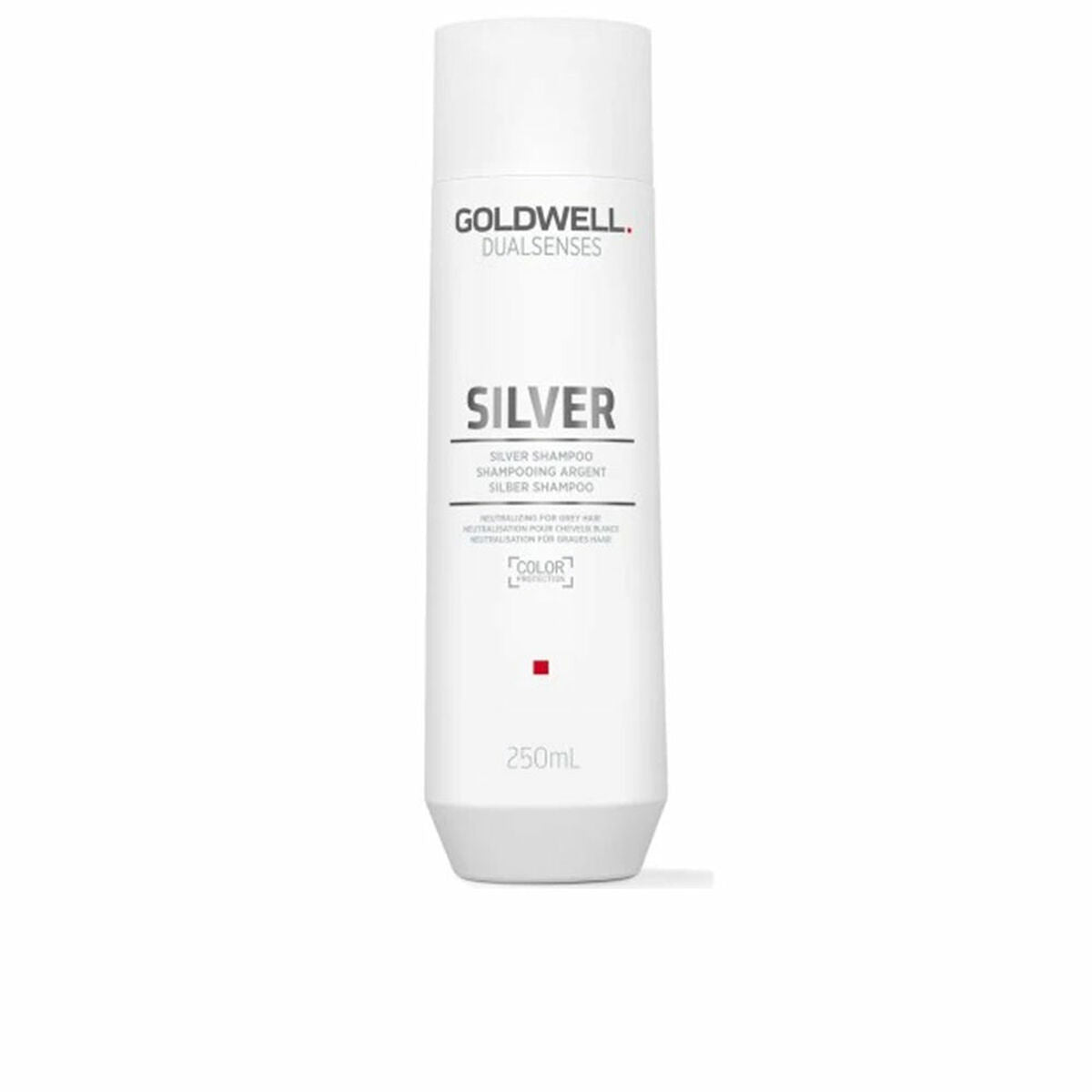Shampoo für blondes oder graues Haar Goldwell Silver 250 ml-0