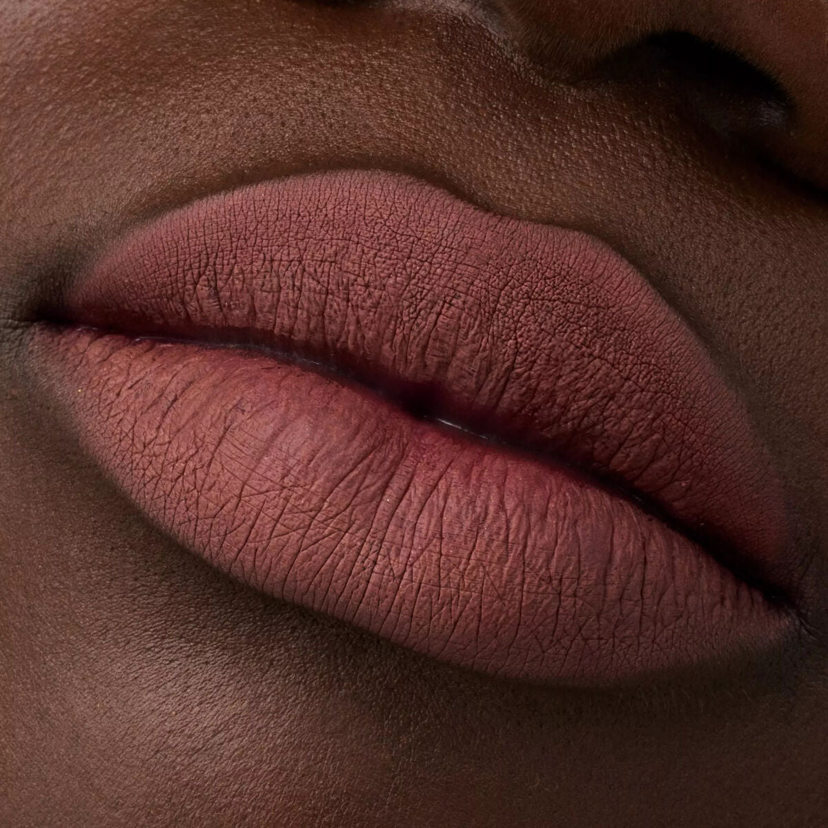 Lipliner Catrice Plumping Nr. 069 Mainhattan 0,35 g-3