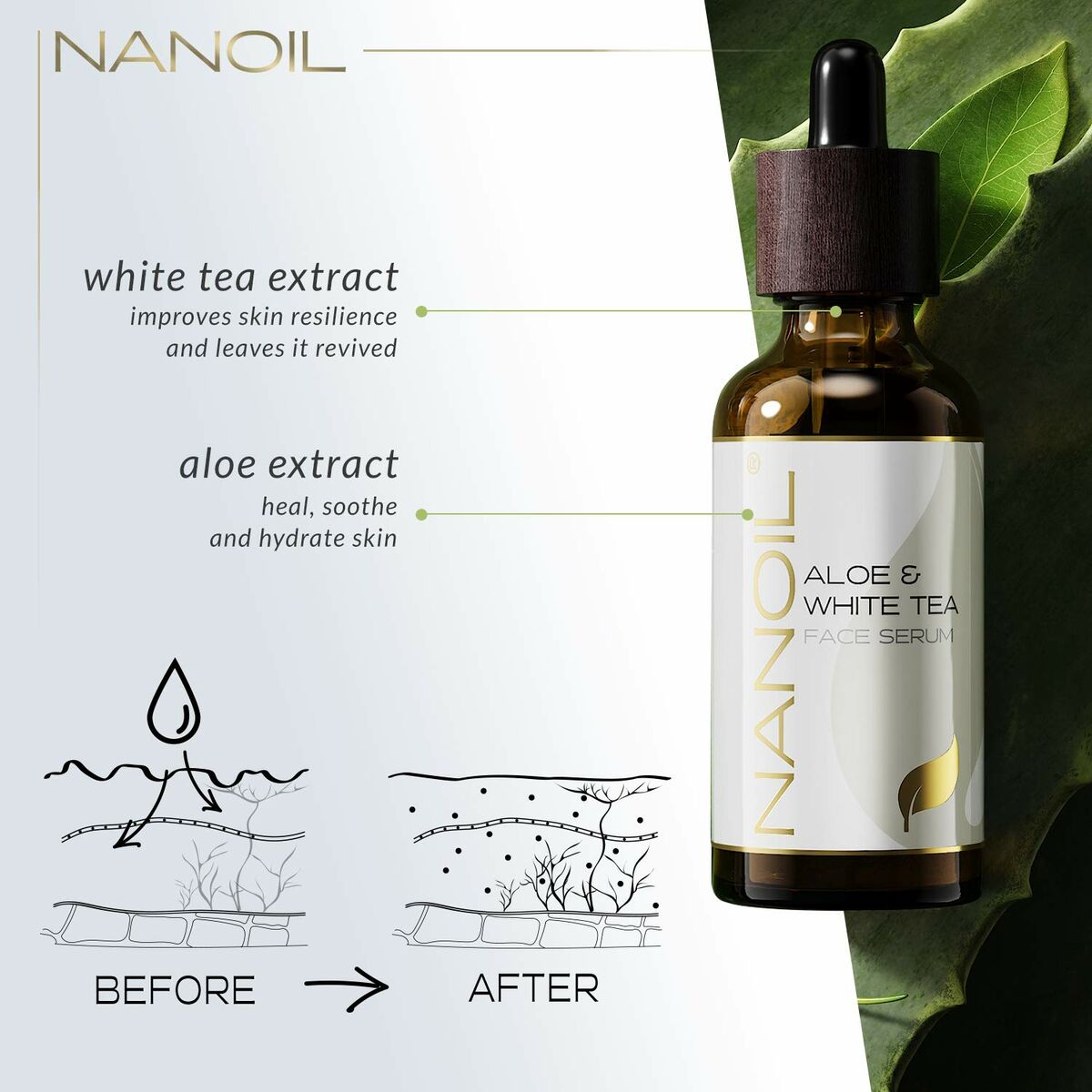 Sérum Antioxidante Nanoil (50 ml)-1
