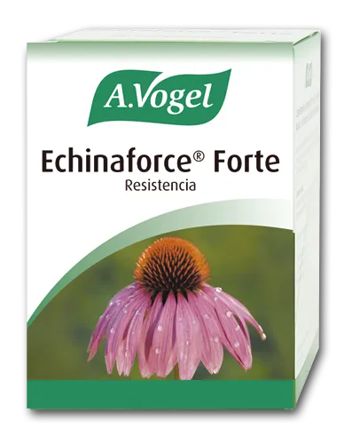 A Vogel Vogel Echinaforce Forte 30 Comp