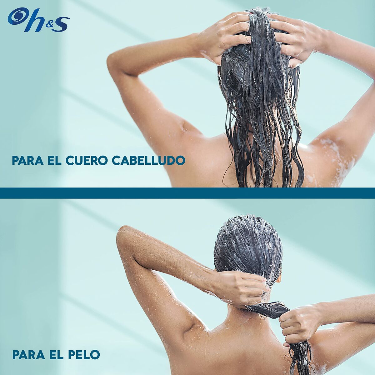 Shampoo Head & Shoulders S Derma X Pro 220 ml-4