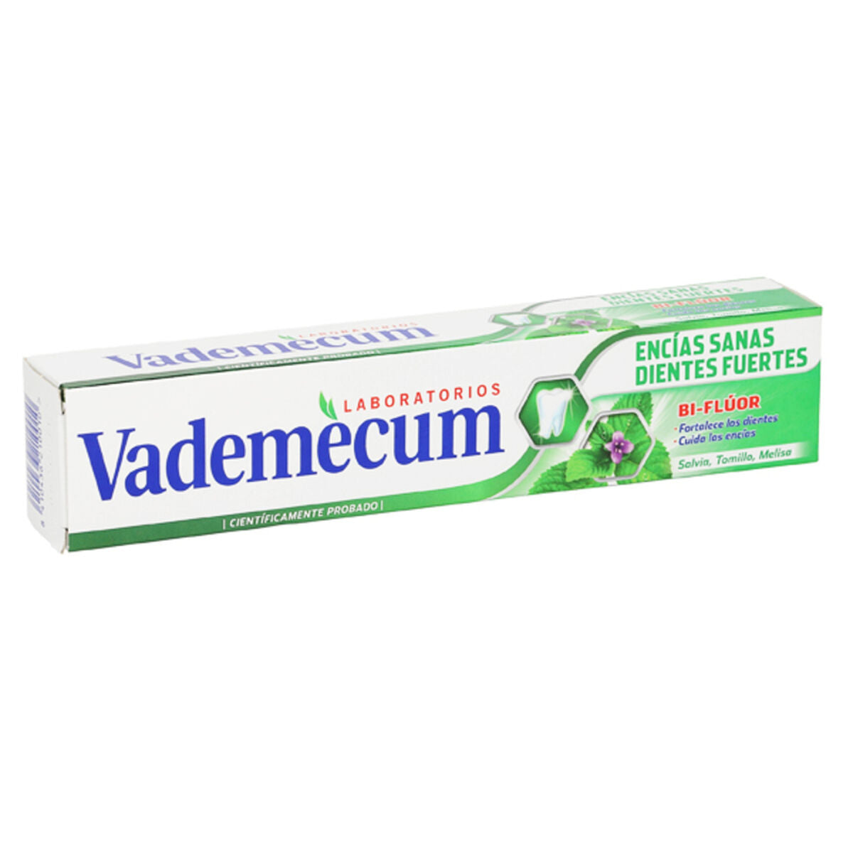 Toothpaste Healthy Gums and Strong Teeth Vademecum 8410642122008 (75 ml) (75 ml)-0