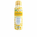 Menstrual Cup Vagisil LIMPIEZA Y FRESCURA (Parapharmacy)-0