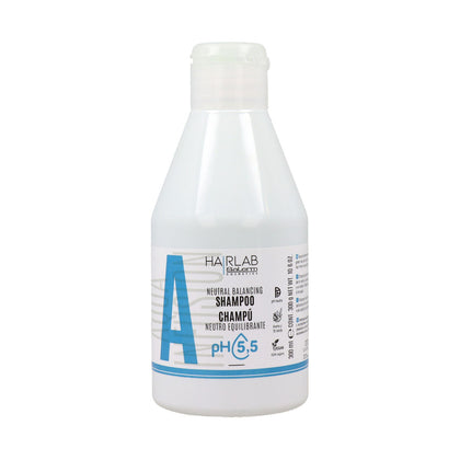 Shampoo Salerm Equilibrium 300 ml Ausgleichend