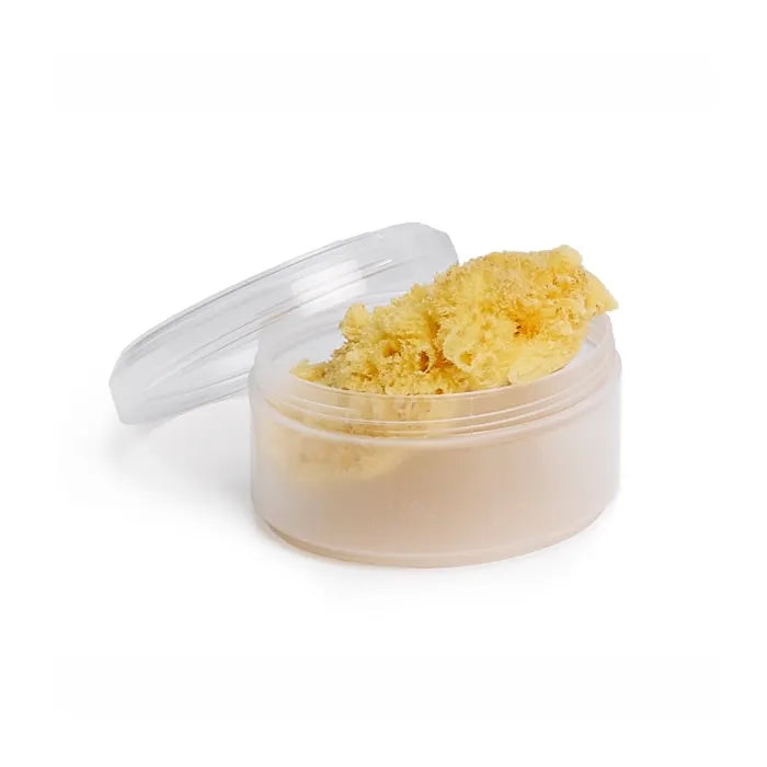 Suavinex Natural Spugna Grande 1 unità