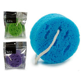 Body Sponge Circular Sponge 18 x 4 x 20 cm (36 Units) - Cosmova