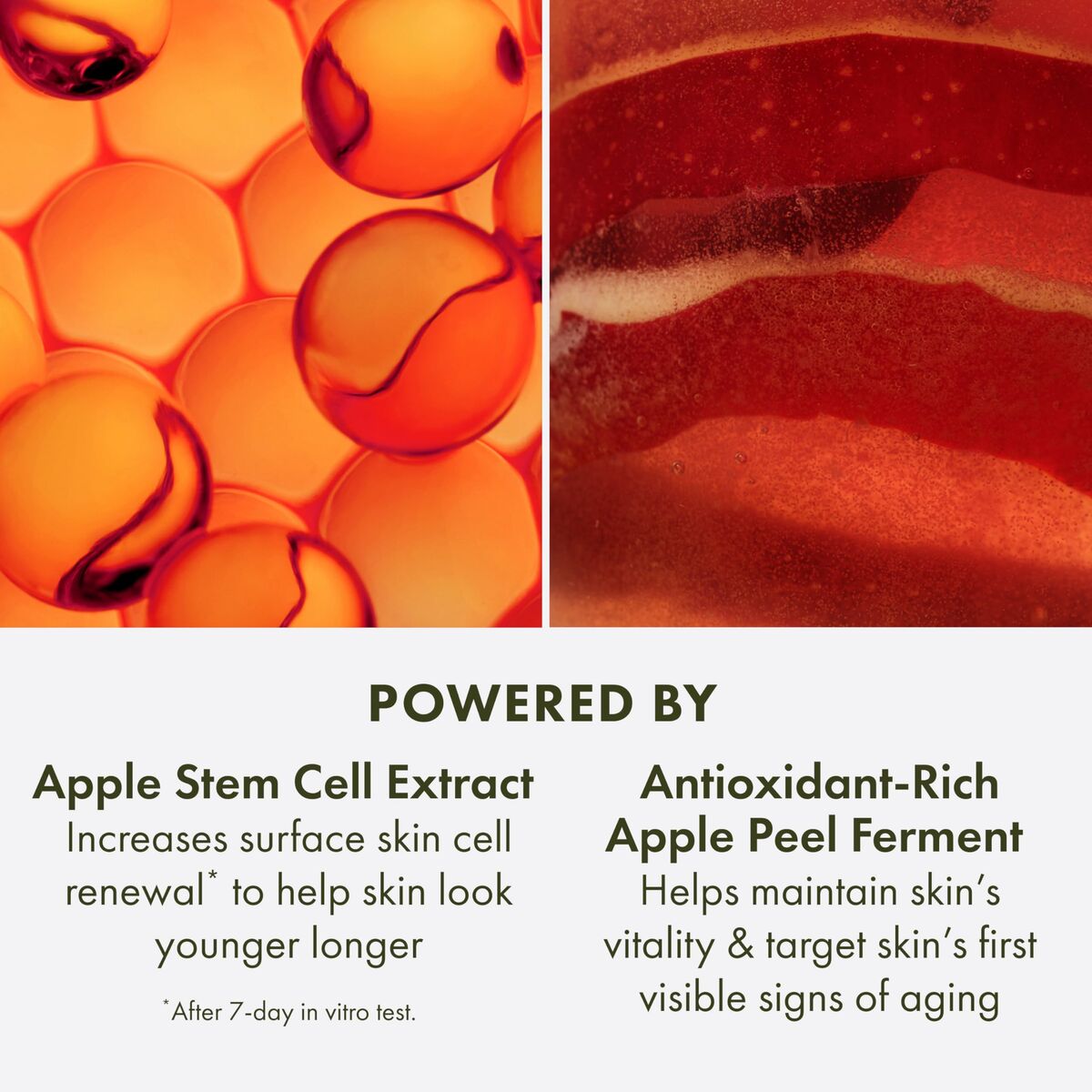 Peeling-Toner Origins YOUTHTOPIA 100 ml-6