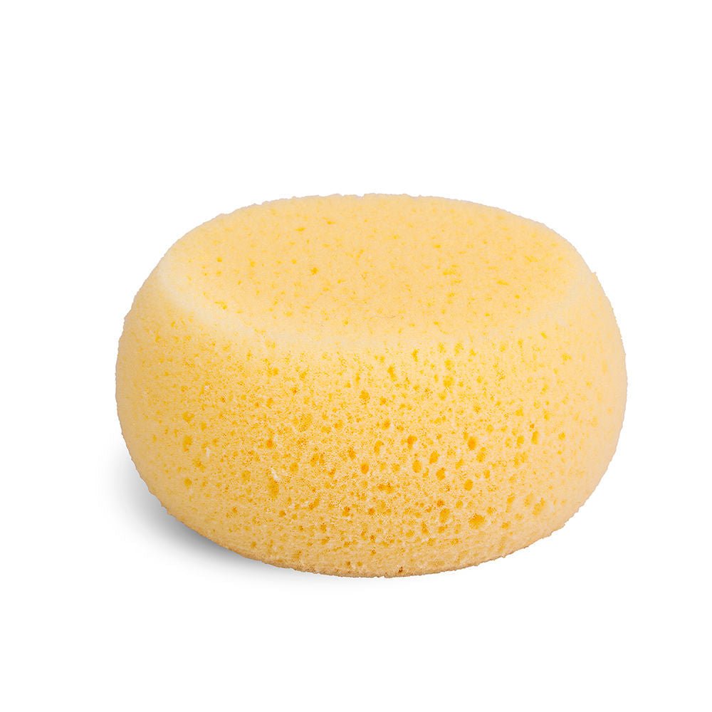 hydrophilic sponge - Cosmova
