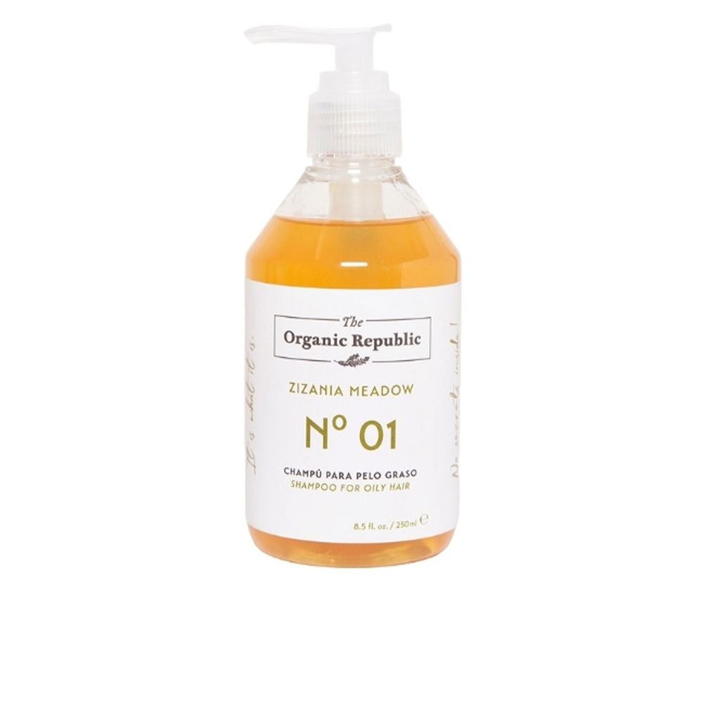 SHAMPOOING cheveux gras 250 ml-0
