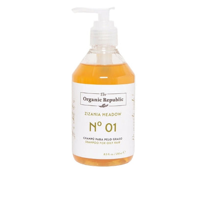 SHAMPOOING cheveux gras 250 ml