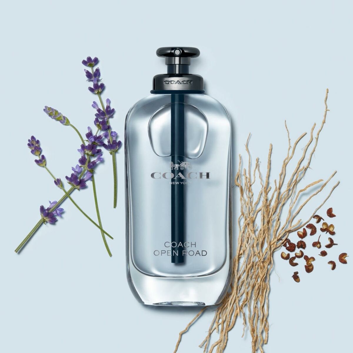 Men's Perfume Coach EDT Open Road 60 ml - Cosmova