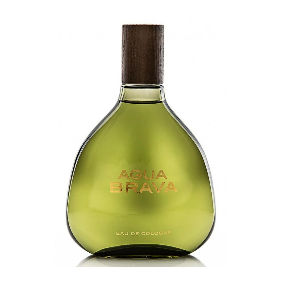 Men's Perfume Puig Agua Brava EDC 100 ml - Cosmova