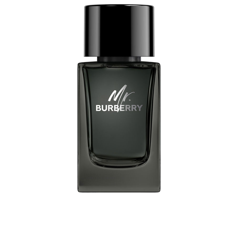 HERR. BURBERRY Eau de Parfum Dampf 100 ml-0