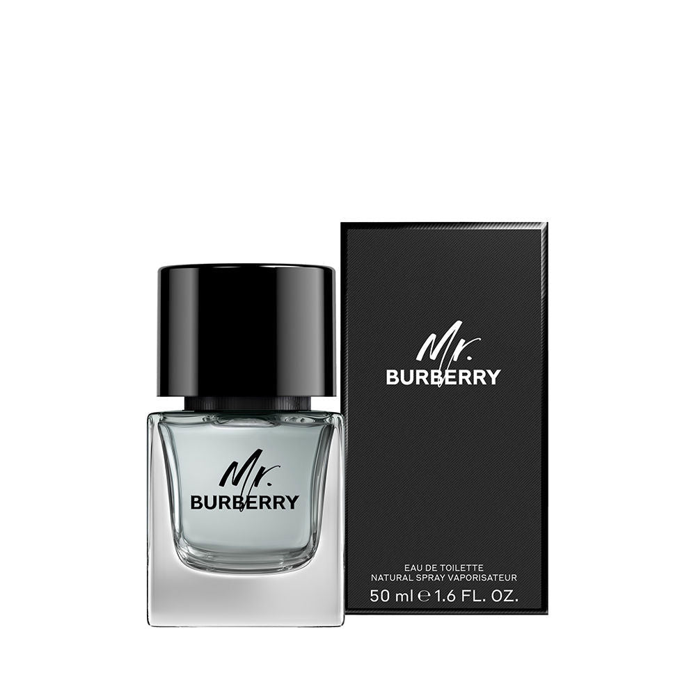 MR BURBERRY edt vapor 50 ml-0