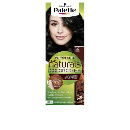 NATURAL PALETTE dye #1.0-black 1 u