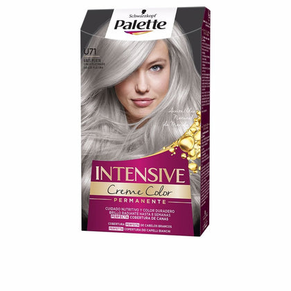 PALETTE INTENSIVE Tinta #U71-Silbergrau