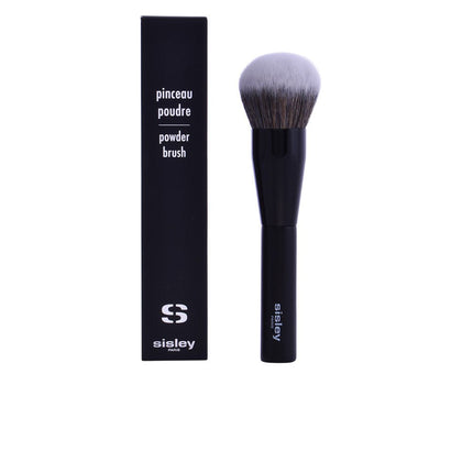PINCEAU polvere 1 u