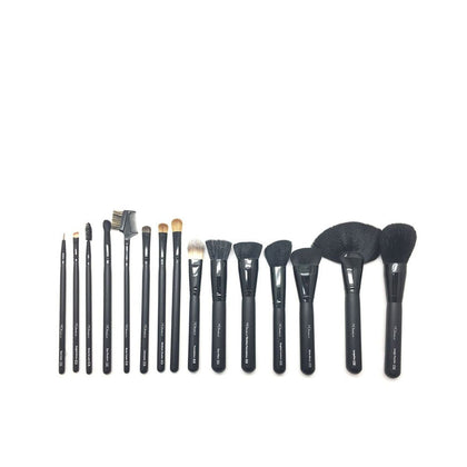 PROFESSIONAL BRUSHES AND BRUSHES CASE 15 pcs