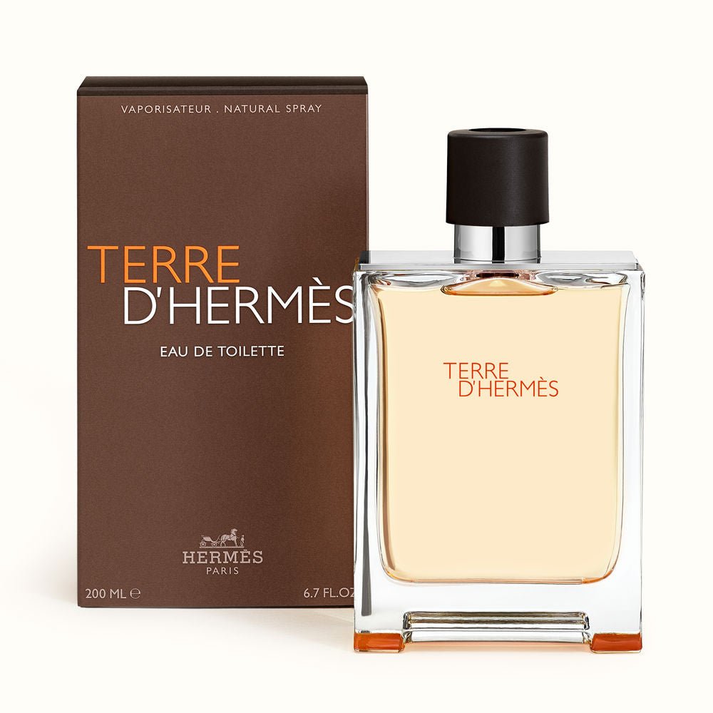 TERRE D'HERMÈS eau de toilette spray 200 ml - Cosmova