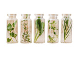 Crème de traitement pour varices 500 cosmétiques Varesil 100 ml-3
