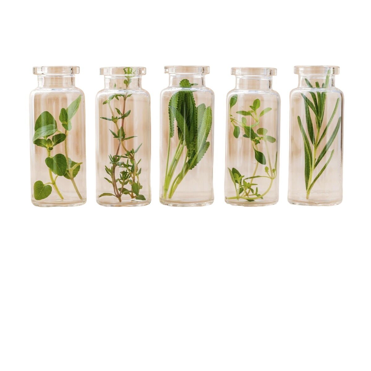 Crème de traitement pour varices 500 cosmétiques Varesil 100 ml-3
