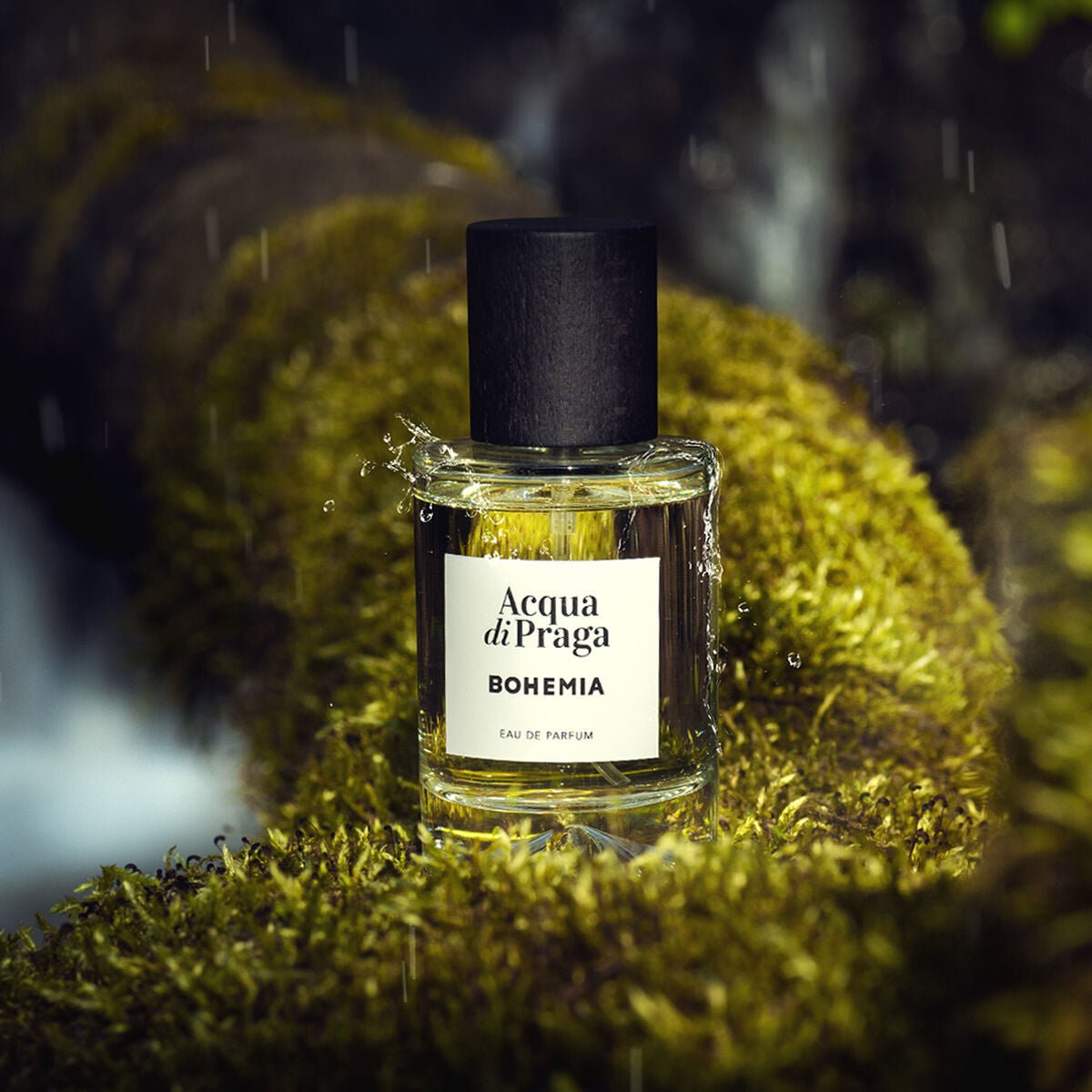 Unisex Perfume Acqua di Praga Bohemia EDP EDP 50 ml - Cosmova